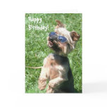 Happy Birthday Yorkshire Terrier Greeting card