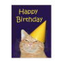 Happy cat Happy Birthday Postcards