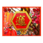 Happy Chinese New Year! Post Card