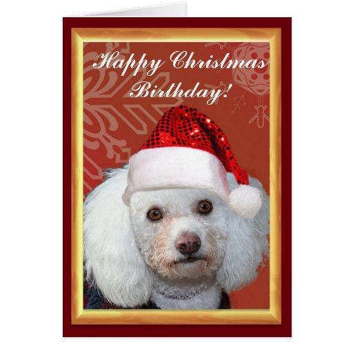 Happy Christmas Birthday Poodle greeting card