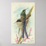 Happy Christmas Vintage Hummingbird posters