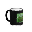 Happy Day - green frog on leaf mugs