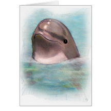 HAPPY DOLPHIN GREETING CARDS