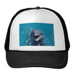 Happy Dolphin Mesh Hats
