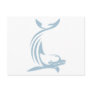 Happy Dolphin Postcards