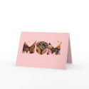 Happy Doughnuts MOM cards