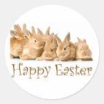 Happy Easter baby bunnies Sticker