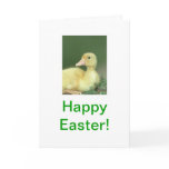 Happy Easter Baby Duck Card