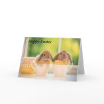 Happy Easter cards