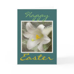 Happy Easter
