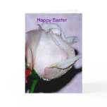 Happy Easter Cards