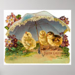 Happy Easter Chicks Posters