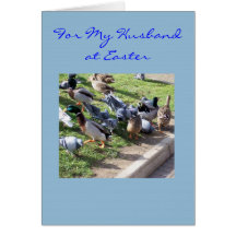 Happy Easter Husband Card - Ducks And Pigeons