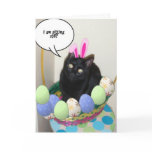 Happy Easter Kitty cards