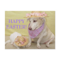HAPPY EASTER!