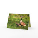 Happy Father's Day cards