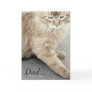 Happy Father's Day Cat Card