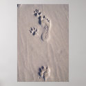Happy Feet posters