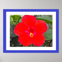 Happy Fourth of July Bloom! Print