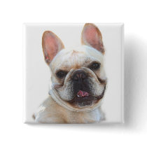 Happy French Bulldog button