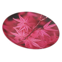 HAPPY GIFTING DINNER PLATES