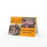 Happy Halloween Animal Style cards