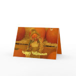 Happy Halloween
