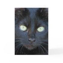 Happy Halloween Card