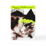 Happy Halloween! Cat Card