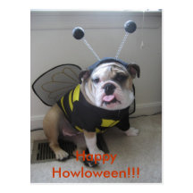 Happy Halloween, English Bulldog Postcard