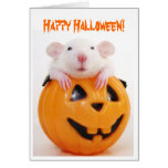 Happy Halloween Pumpkin Rat Card