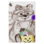 Happy Halloween Racoon flyers