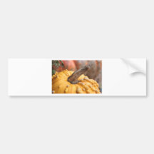 Happy Harvest! Bumper Stickers