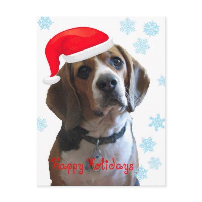Happy Holidays Beagle Post Cards by lazydee