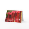 Happy Holidays cards