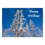 Happy Holidays Greeting Cards
