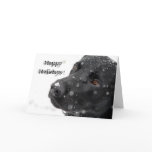 Happy Holidays ! cards