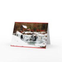 Happy Holidays Card