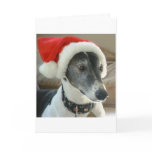 Happy Holidays Cards