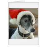 Happy Holidays Cards