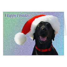 Happy Holidays Cards