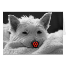 Happy Holidays - Cute Westie Dog Card