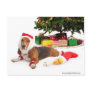 Happy Holidays/December Post Cards