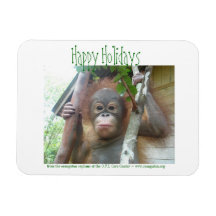 Happy Holidays from Baby Orangutans Magnet