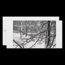Happy Holidays photo cards