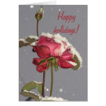 Happy holidays- red rose with snow cover card