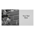 Happy Hour Bee Photo Cards photo cards