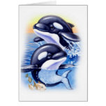 Happy Killer Whales cards