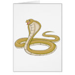 Happy King Cobra Snake cards