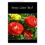Happy Labour Day Red Ranunculus flower card